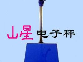 友聲XK3100型計數(shù)臺秤（BS系列）